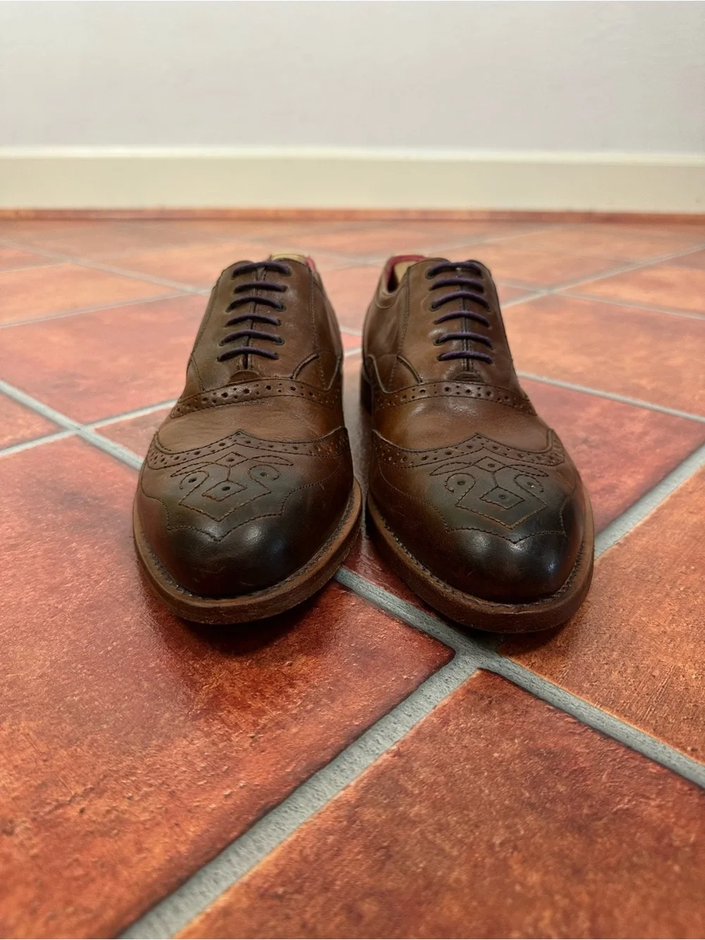Ted Baker Men's Wingtip Leather Derbys with Brogue Detail and Pink Interior